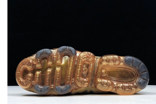 VAPORMAX METALLIC BLACK GOLD AR6631-002 AIR 2019 0313